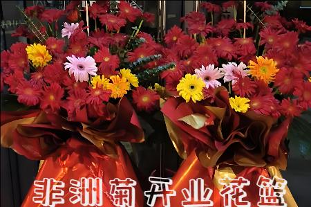 朝阳龙城区开业花篮